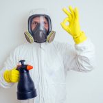 Adieu pesticides : Comment Horpi réinvente la lutte biologique contre les pucerons ?