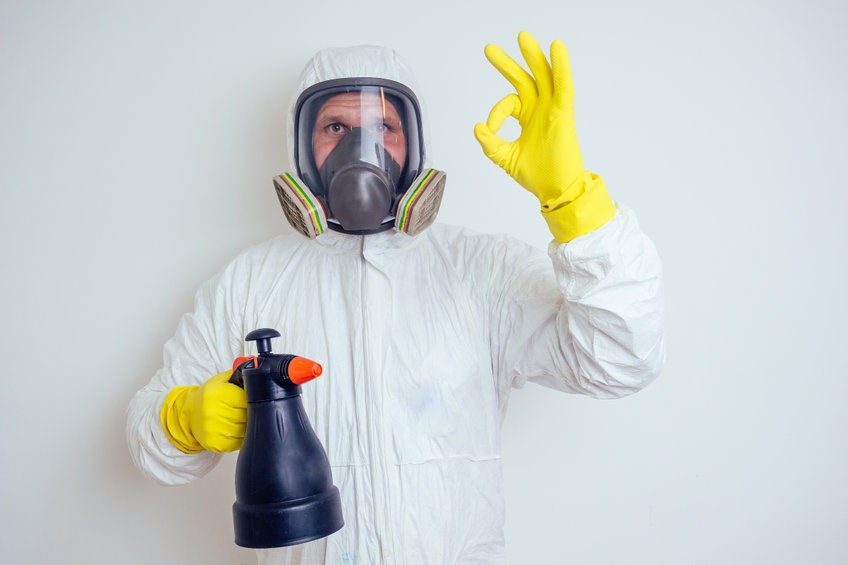 Adieu pesticides : Comment Horpi réinvente la lutte biologique contre les pucerons ?